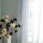 Apartment Thess Old Town 3 Free Private Parking Of Stayinthess Thessaloniki